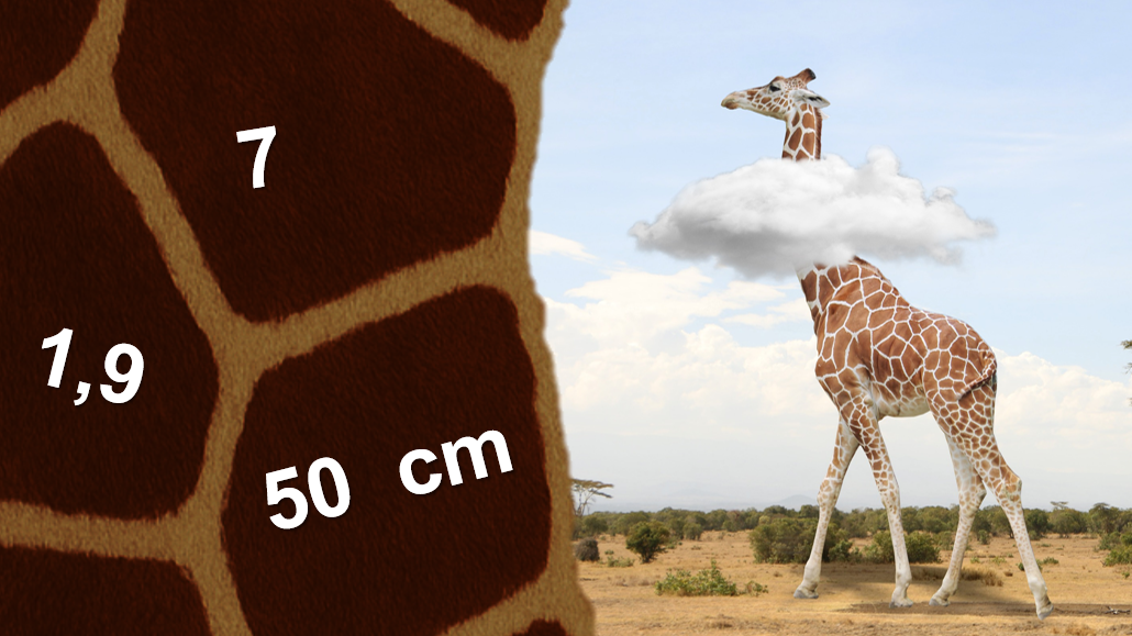 Präsentation - Life as a giraffe