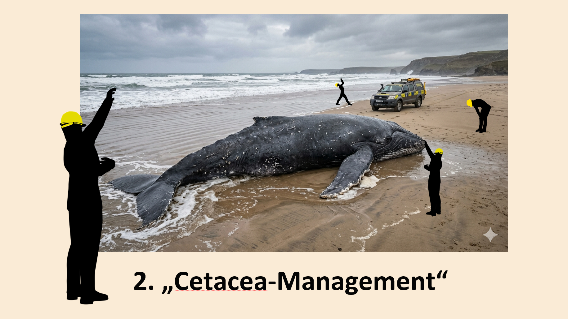 Präsentation - Beached whale