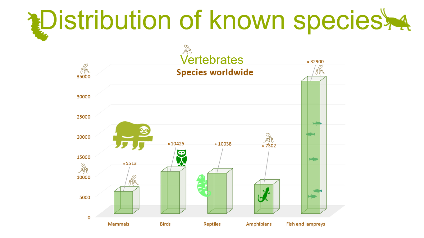 Präsentation - Biodiversity