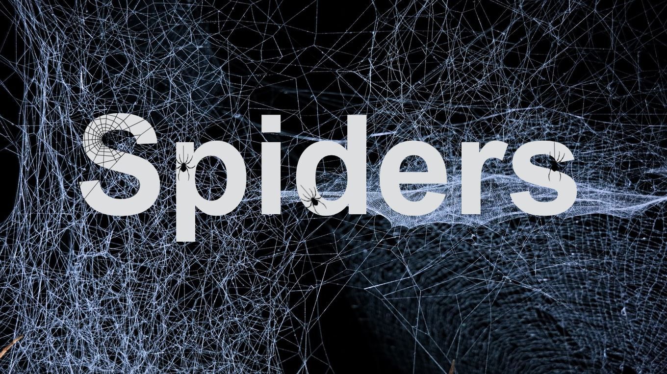 Präsentation - Spiders