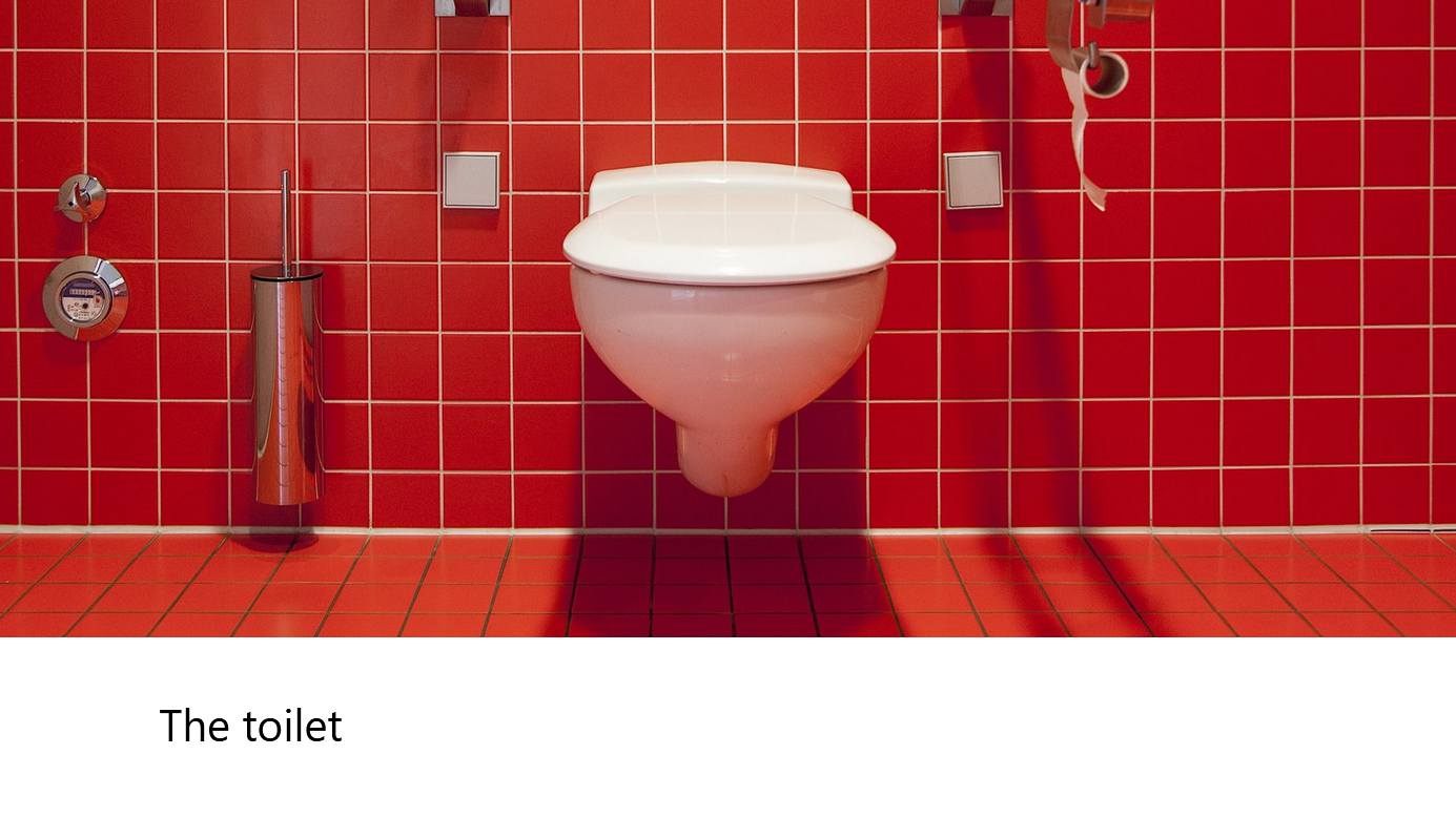 Präsentation - Toilet